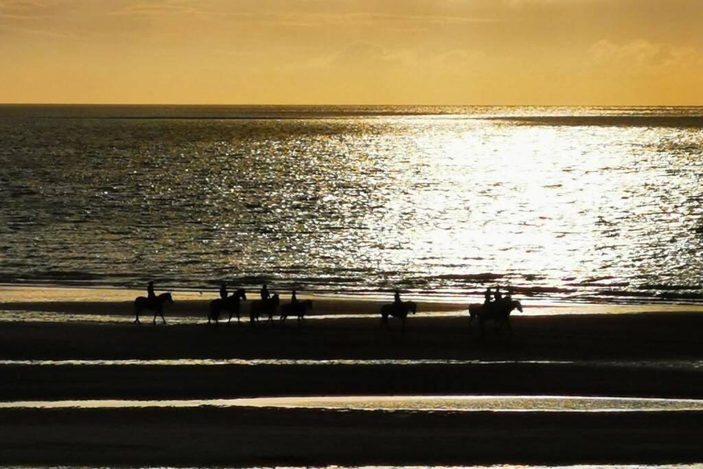 Gite De La Digue ويسانت المظهر الخارجي الصورة